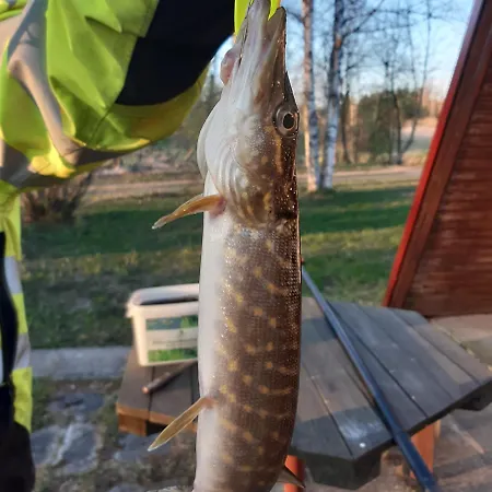 'river Lounge' Pärnumaa