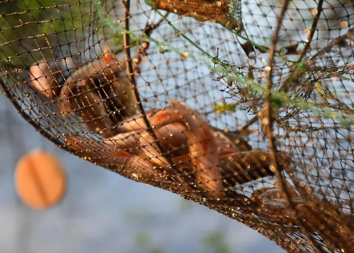 'river Lounge' PARNUMAA