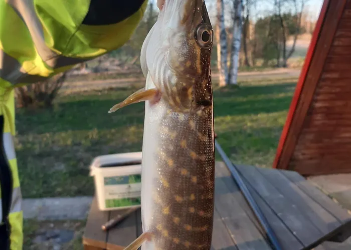 'river Lounge' Parnumaa